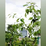 In The Orchard * Sandane