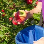 Semesterbostad In The Orchard Sandane