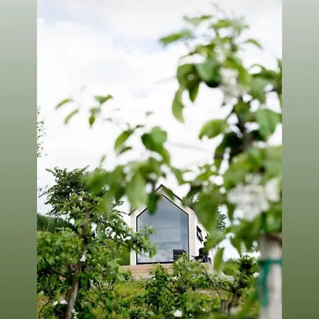 In The Orchard * Sandane