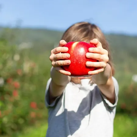 In The Orchard