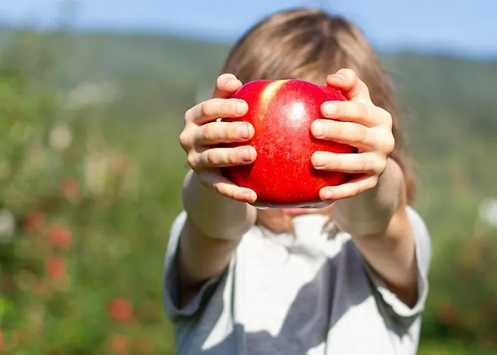 In The Orchard